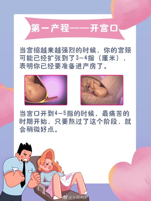 暖代生宝宝是什么原理