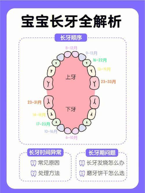 试管宝宝什么时候长牙齿